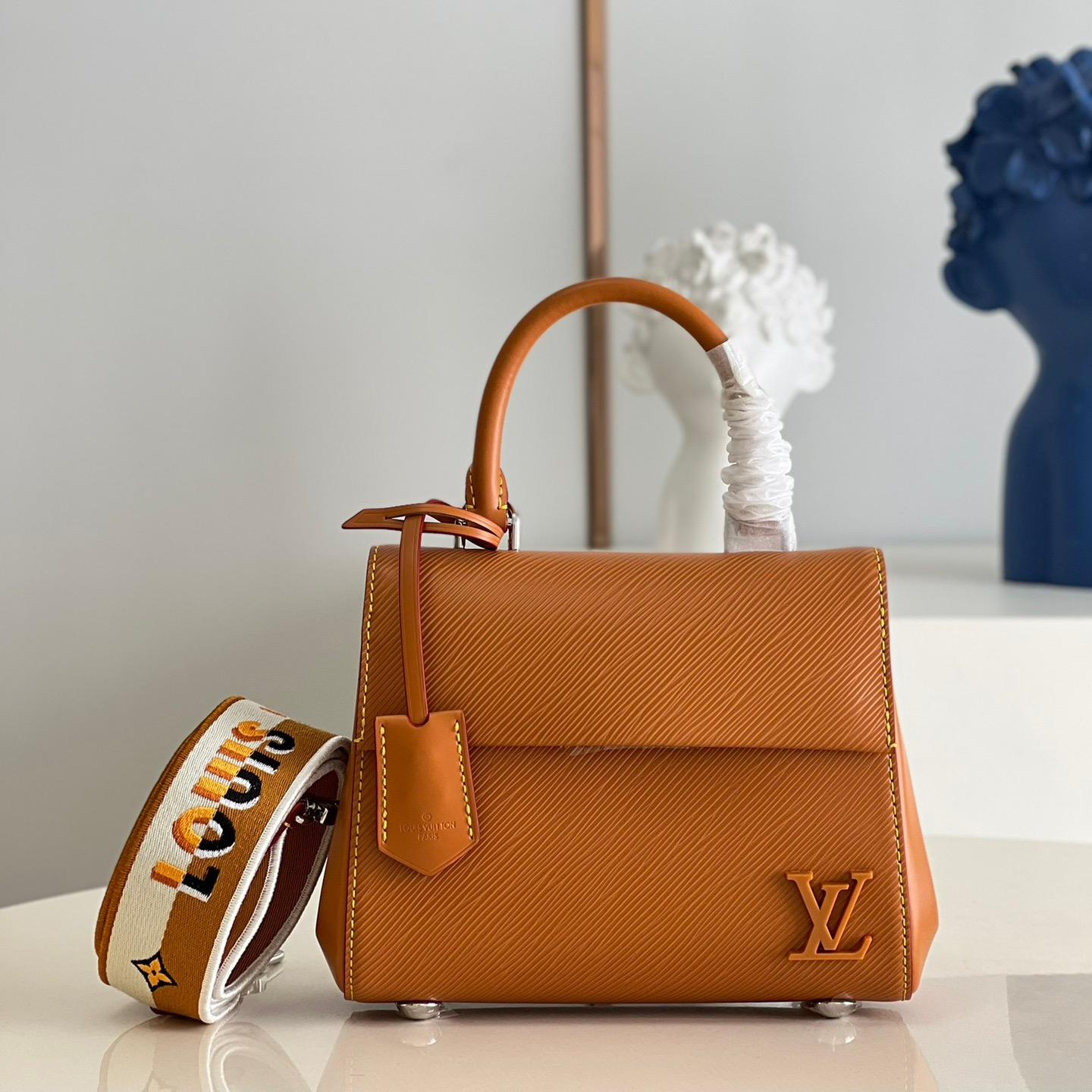 Louis Vuitton LV Bags