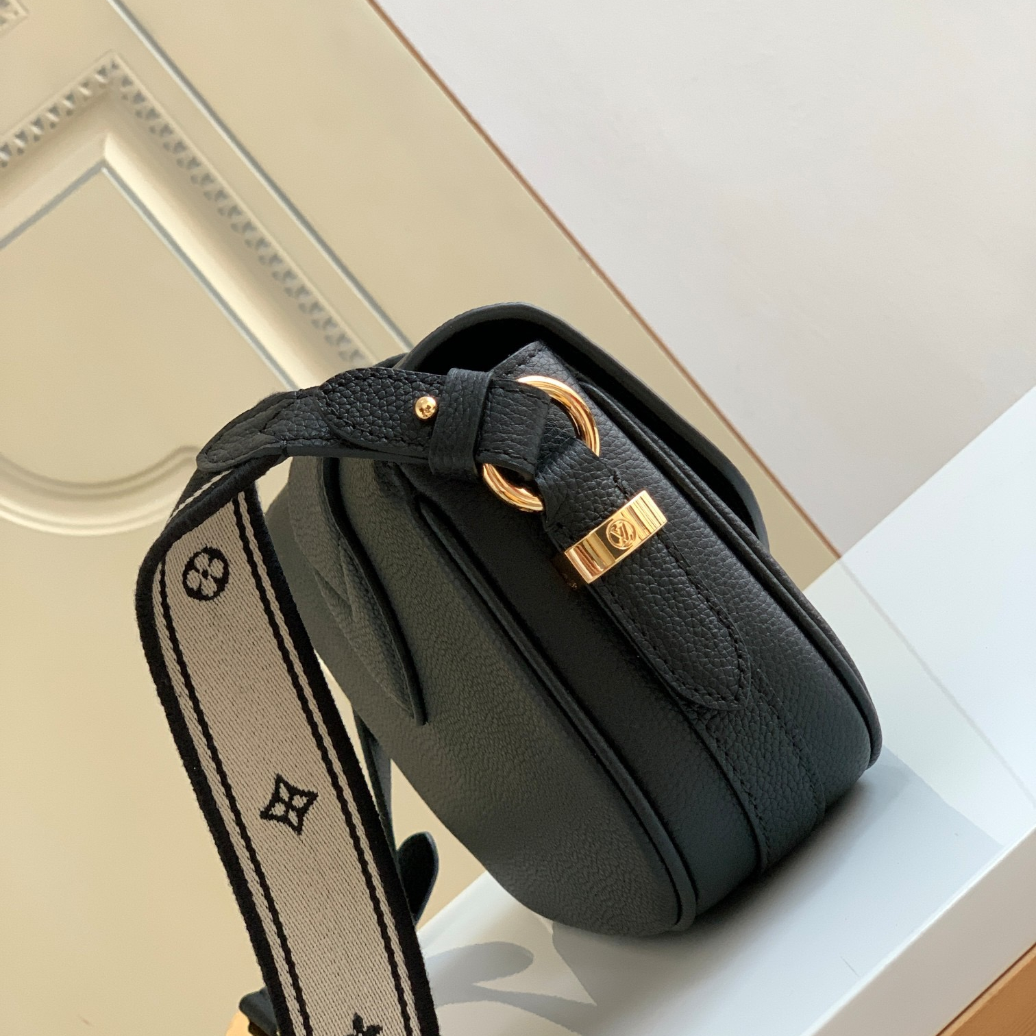 Louis Vuitton LV Bags