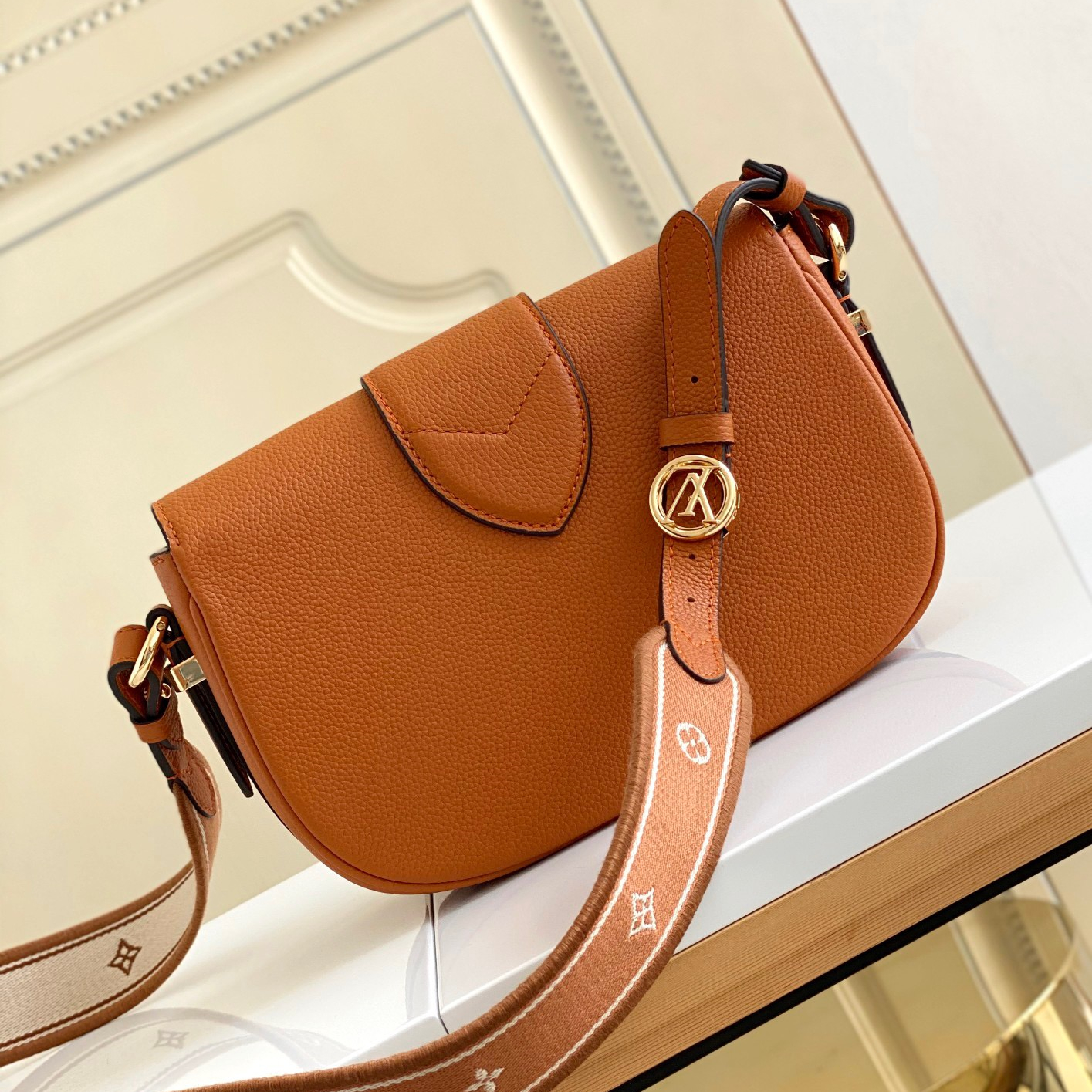 Louis Vuitton LV Bags