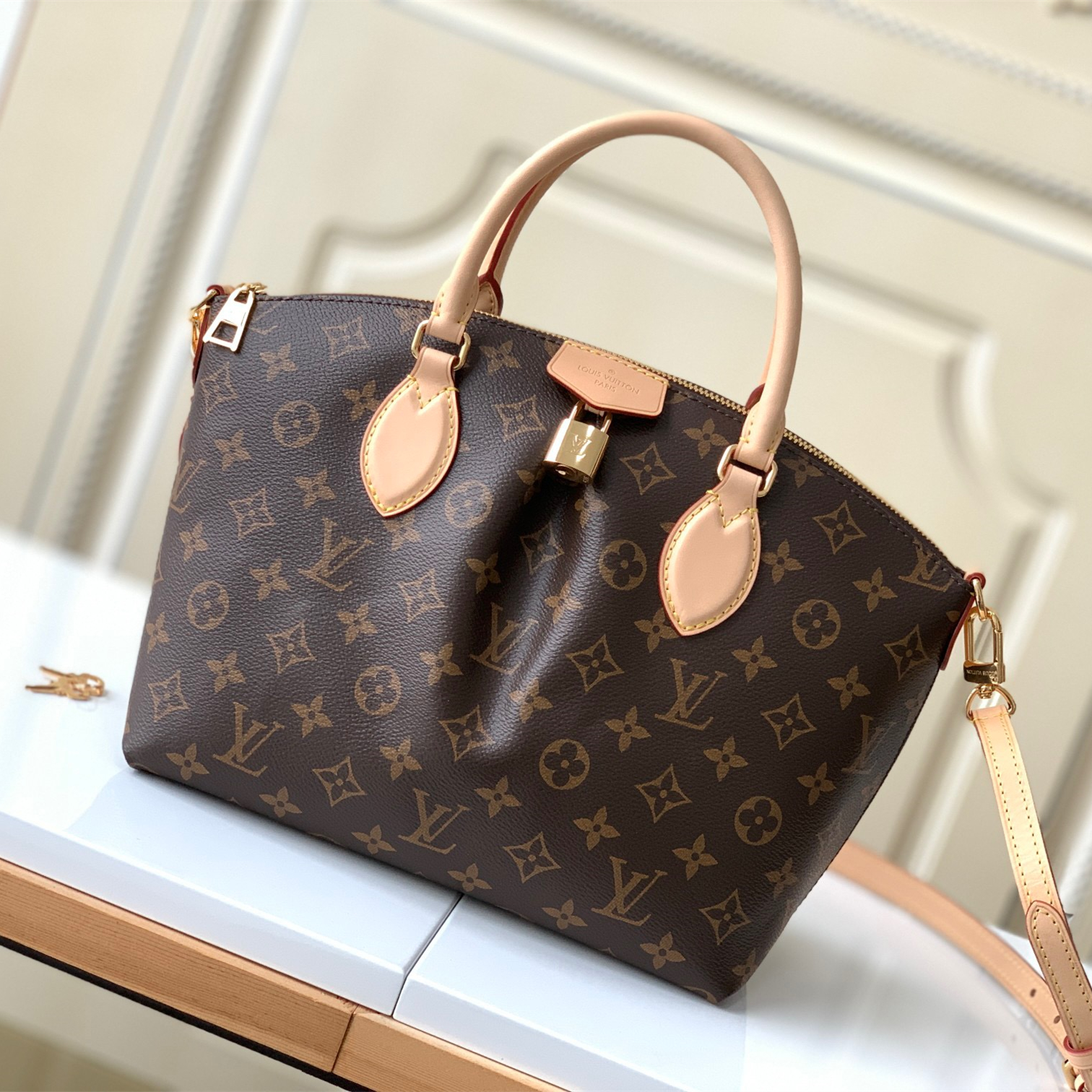 Louis Vuitton LV Bags