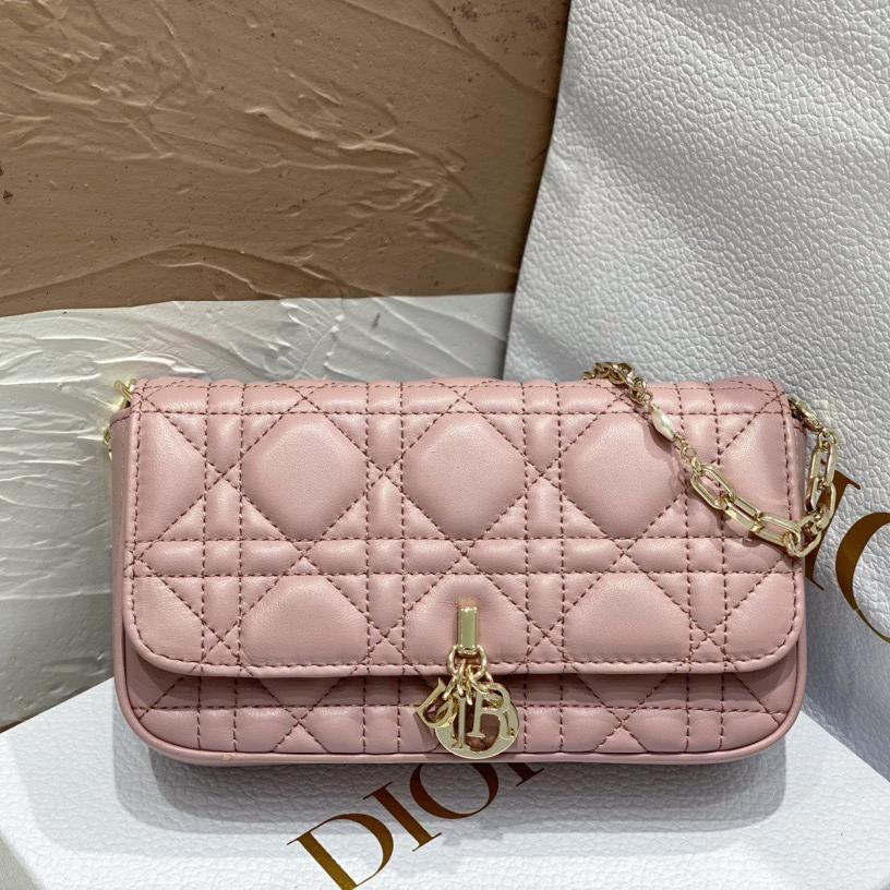 Dior Fashion Bags