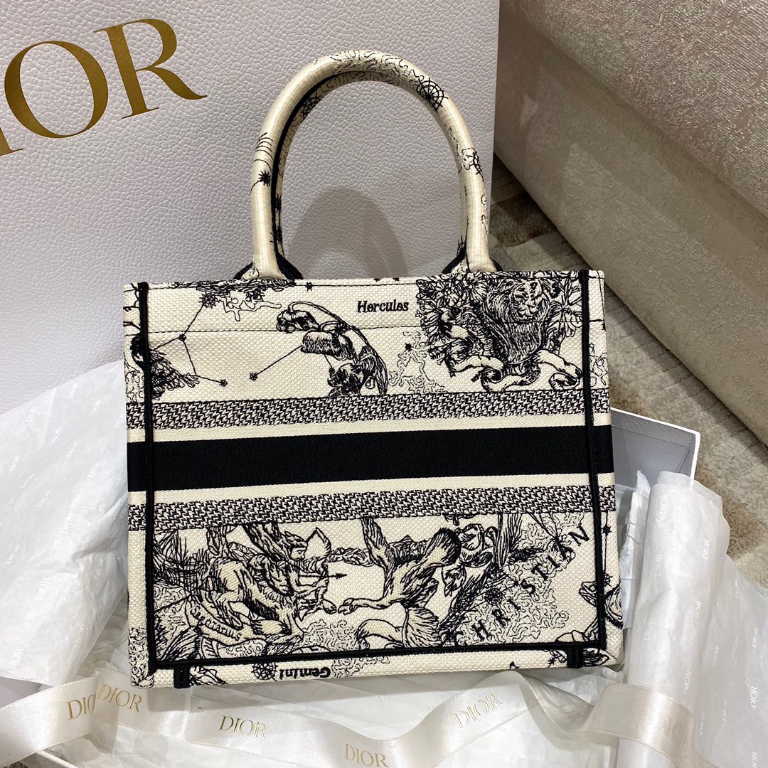 Dior Fashion Bags