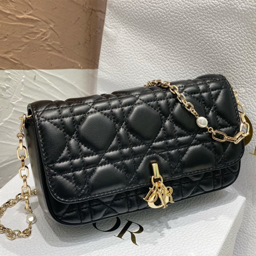 Dior Fashion Bags