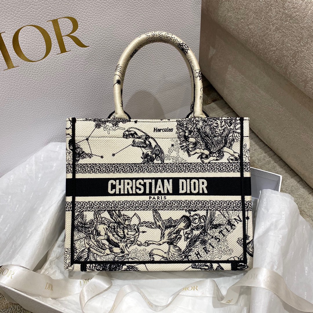 Dior Fashion Bags