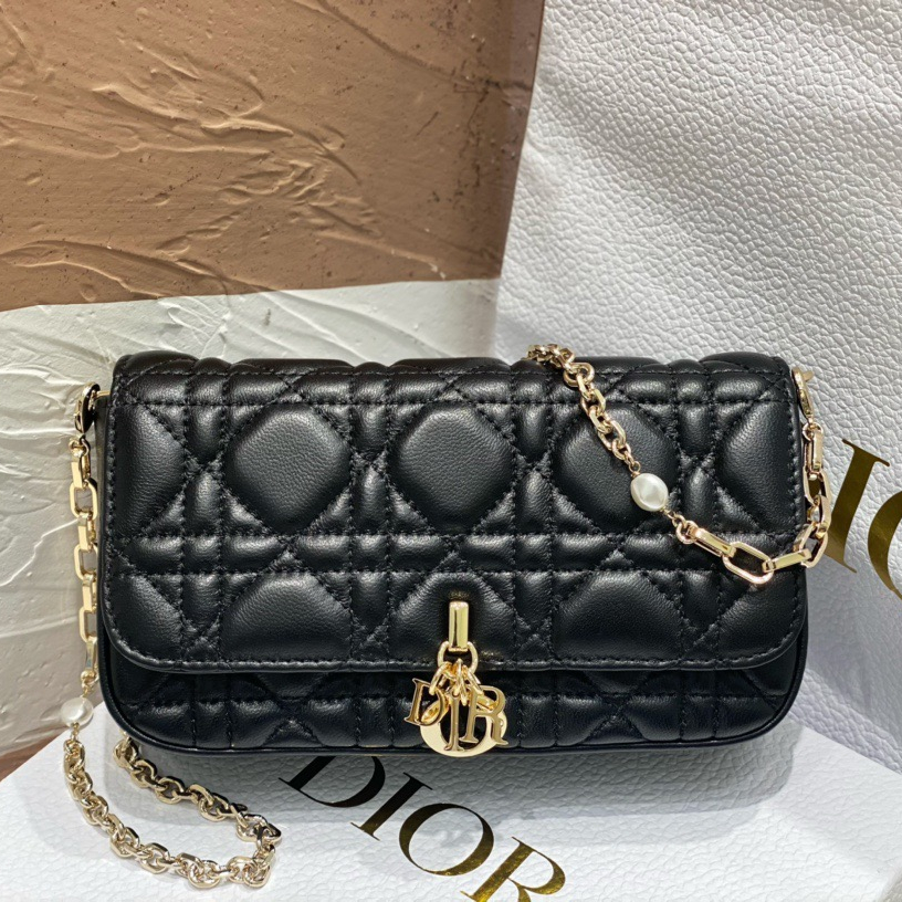 Dior Fashion Bags
