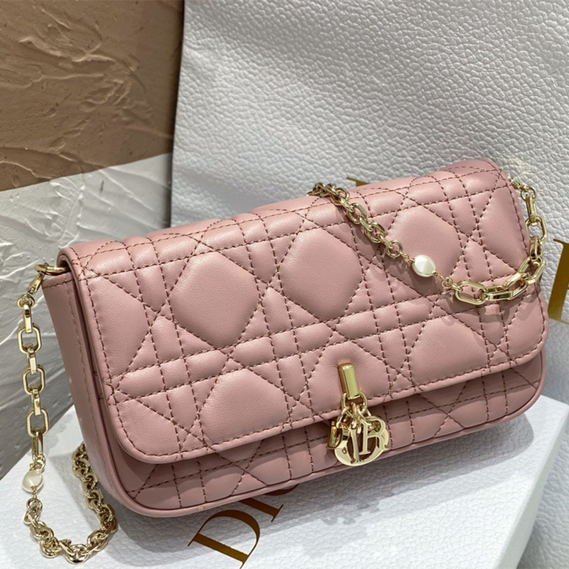 Dior Fashion Bags