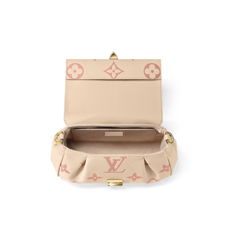 Louis Vuitton LV Bags
