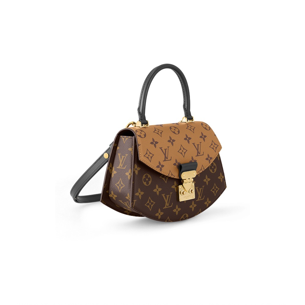 Louis Vuitton LV Bags