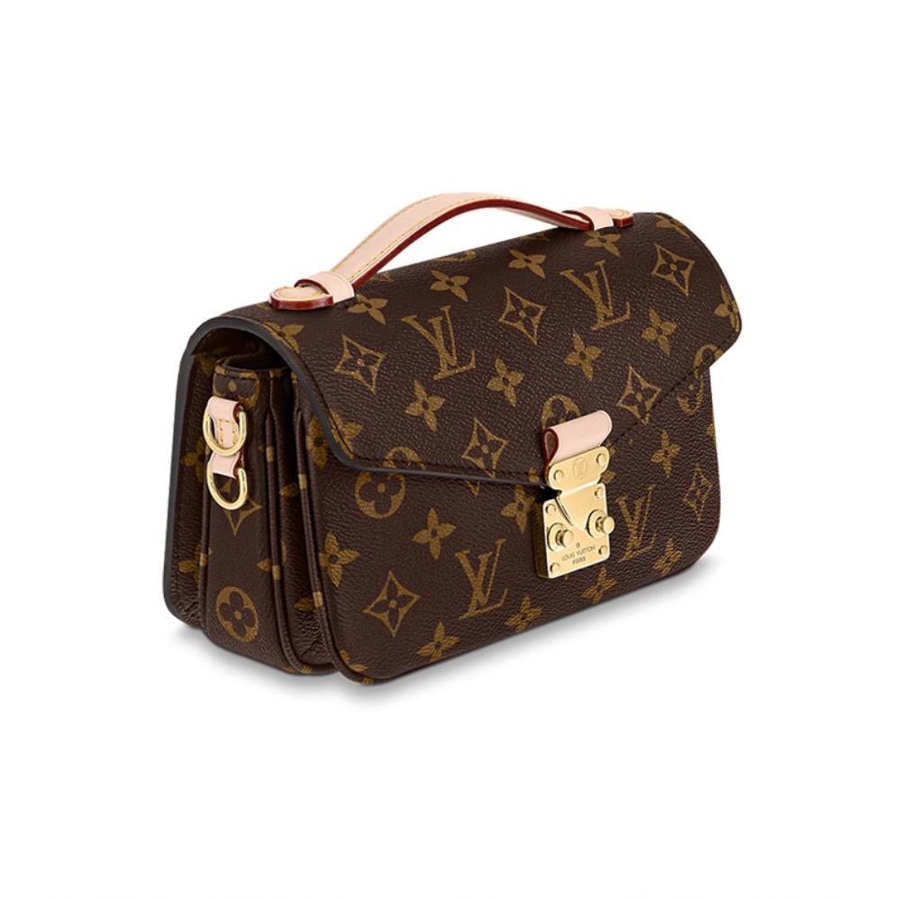 Louis Vuitton LV Bags