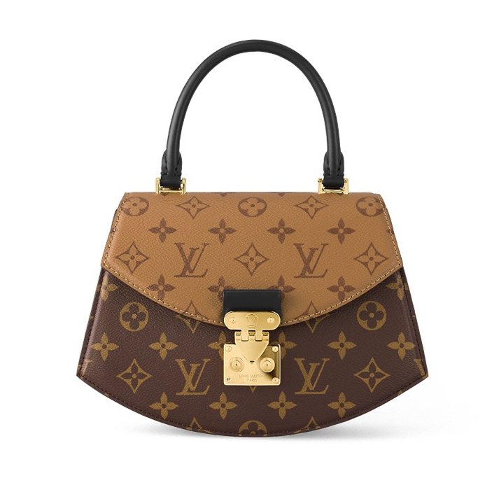 Louis Vuitton LV Bags