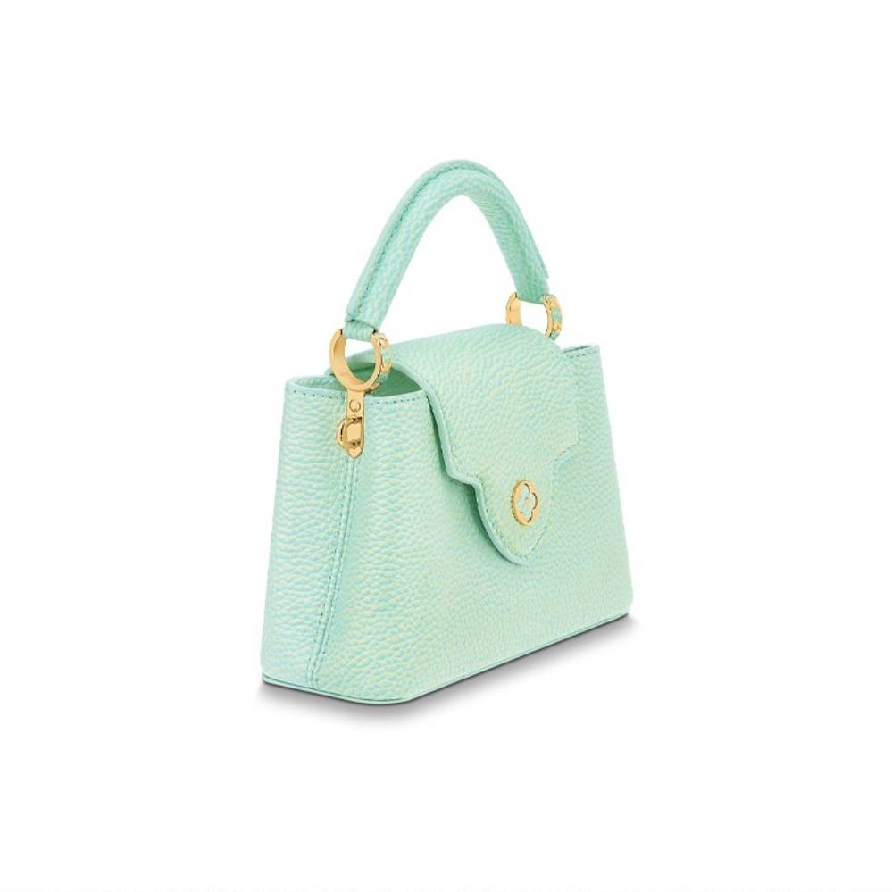 Louis Vuitton LV Bags
