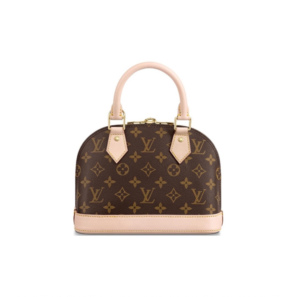 Louis Vuitton LV Bags