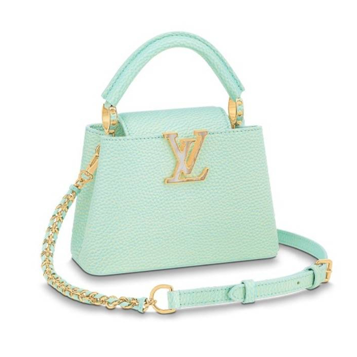 Louis Vuitton LV Bags