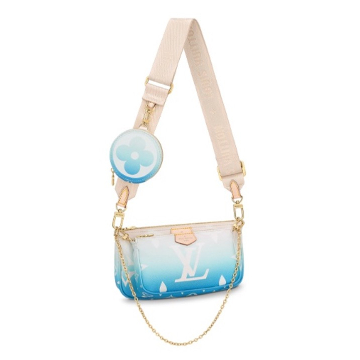 Louis Vuitton LV Bags