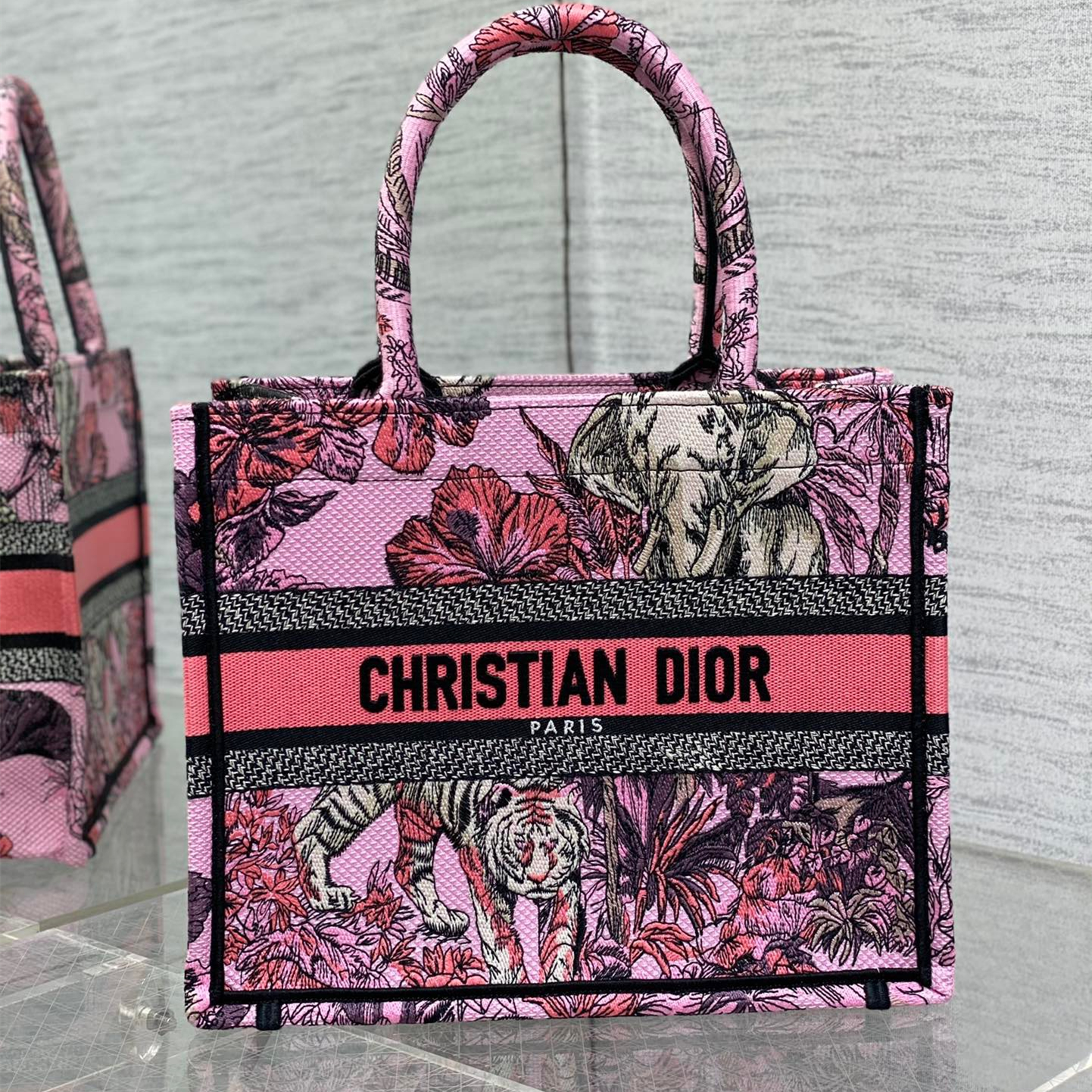 Dior Fashion Bags