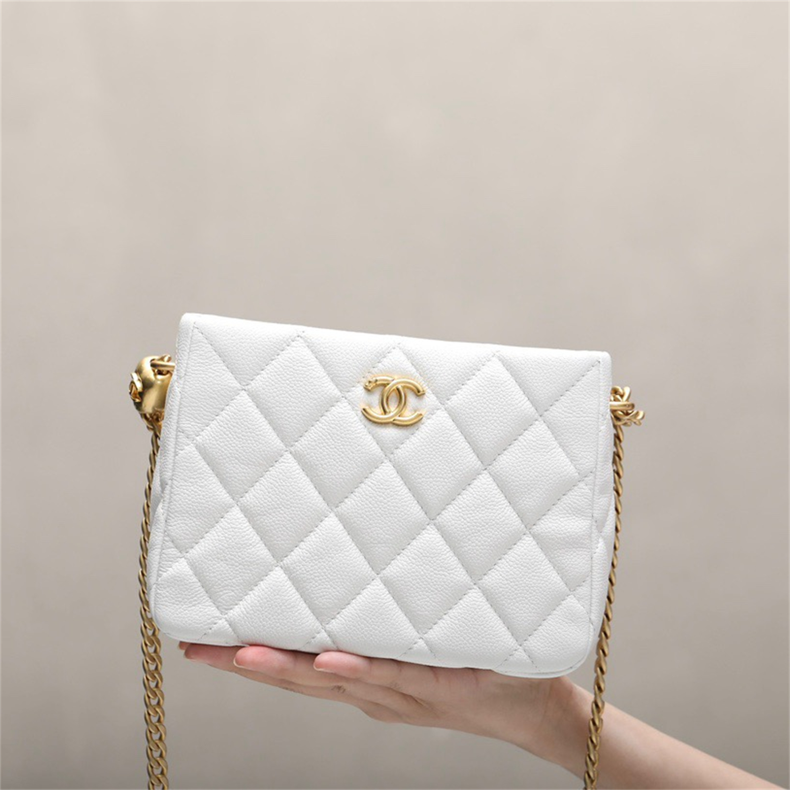 Chanel Fashion Bags