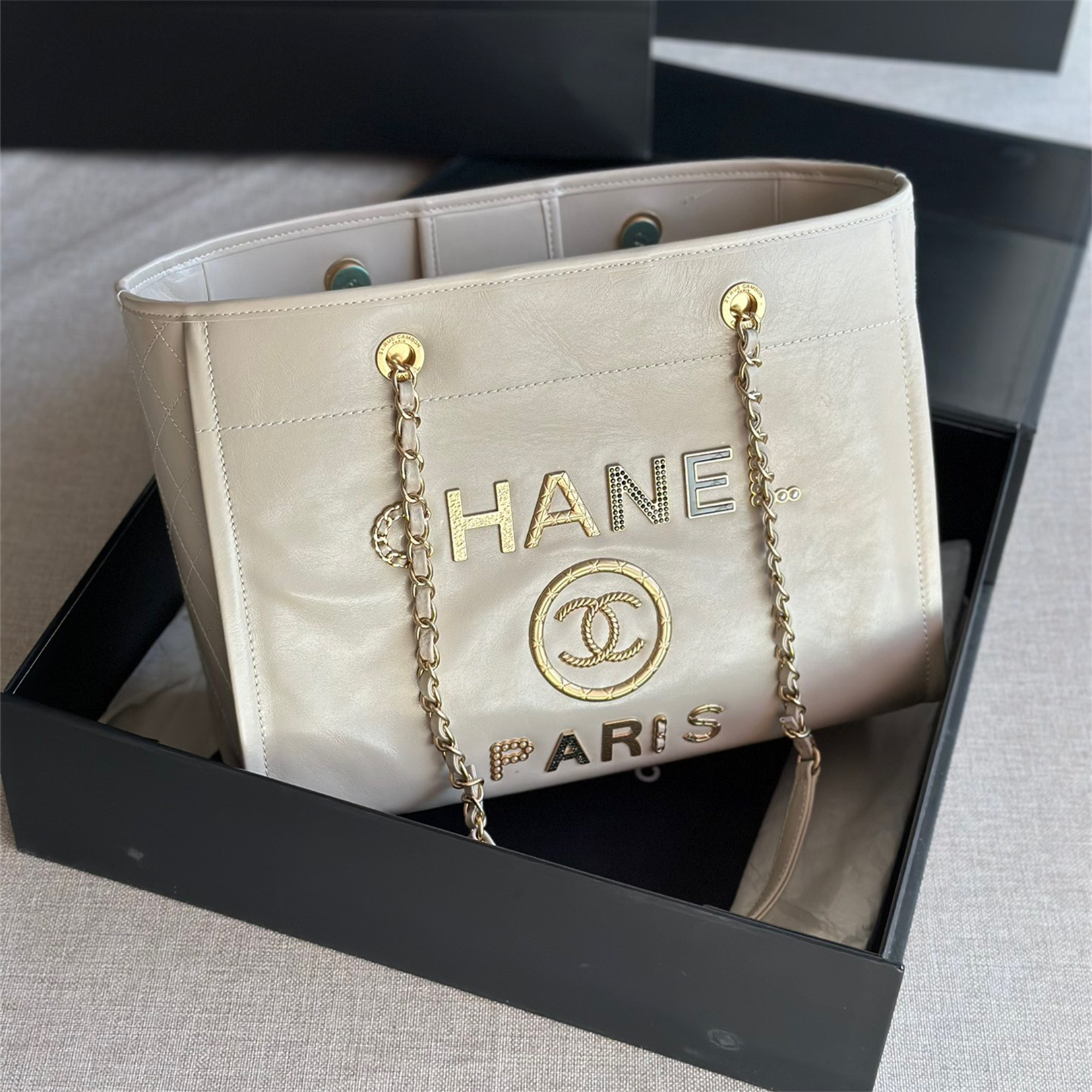Chanel Fashion Bags