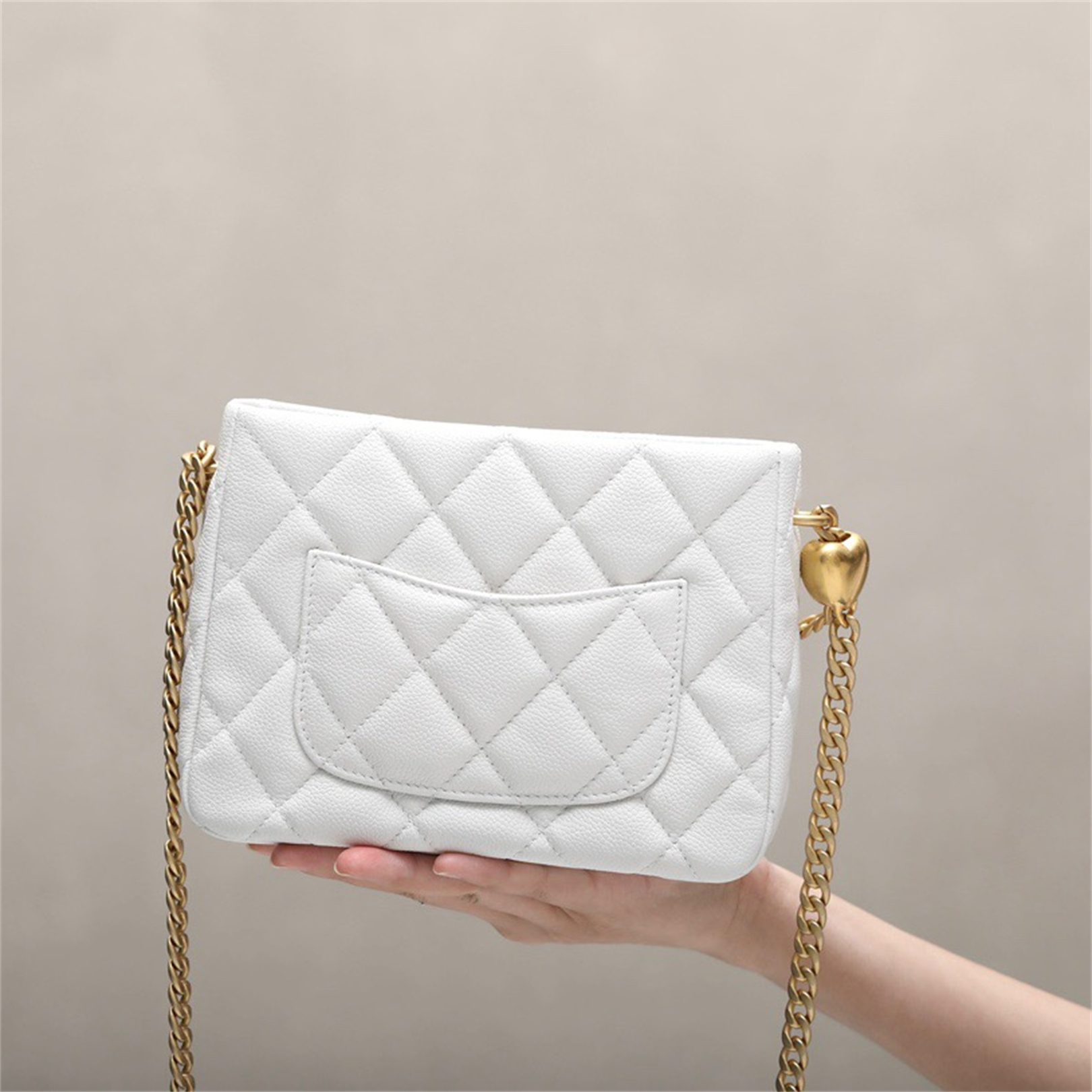 Chanel Fashion Bags