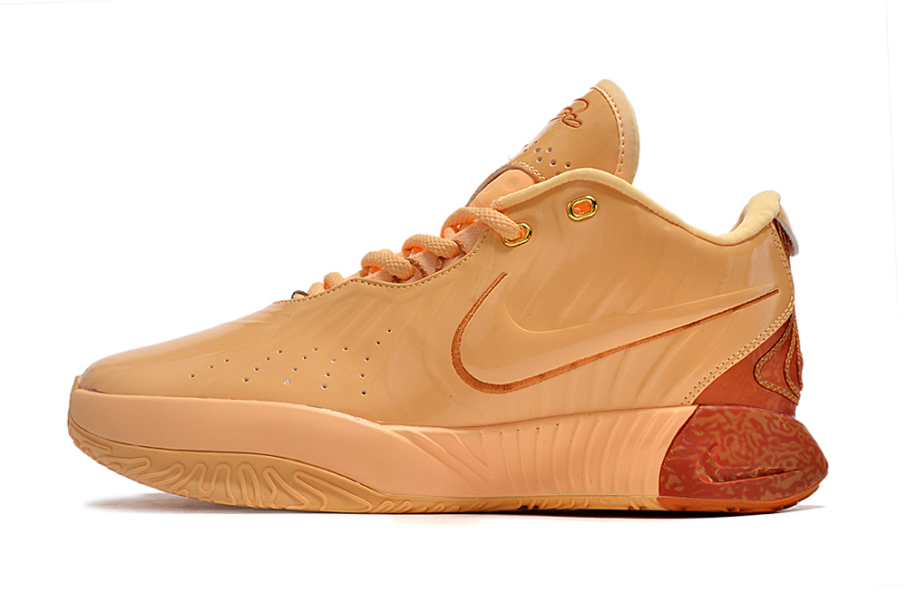 Men's Nike Lebron 21 Fashion Basketball Shoes