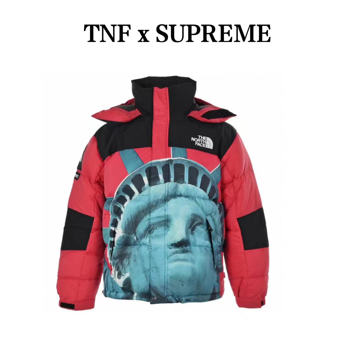 Supremex TheNorthFace co-branded Statue of Liberty down jacket