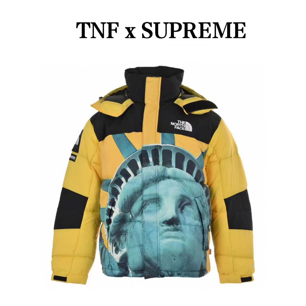 Supremex TheNorthFace co-branded Statue of Liberty down jacket