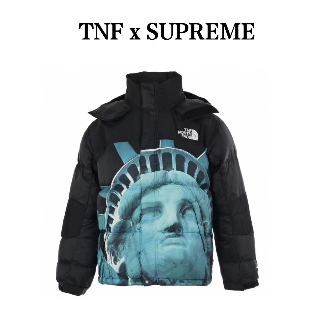 Supremex TheNorthFace co-branded Statue of Liberty down jacket