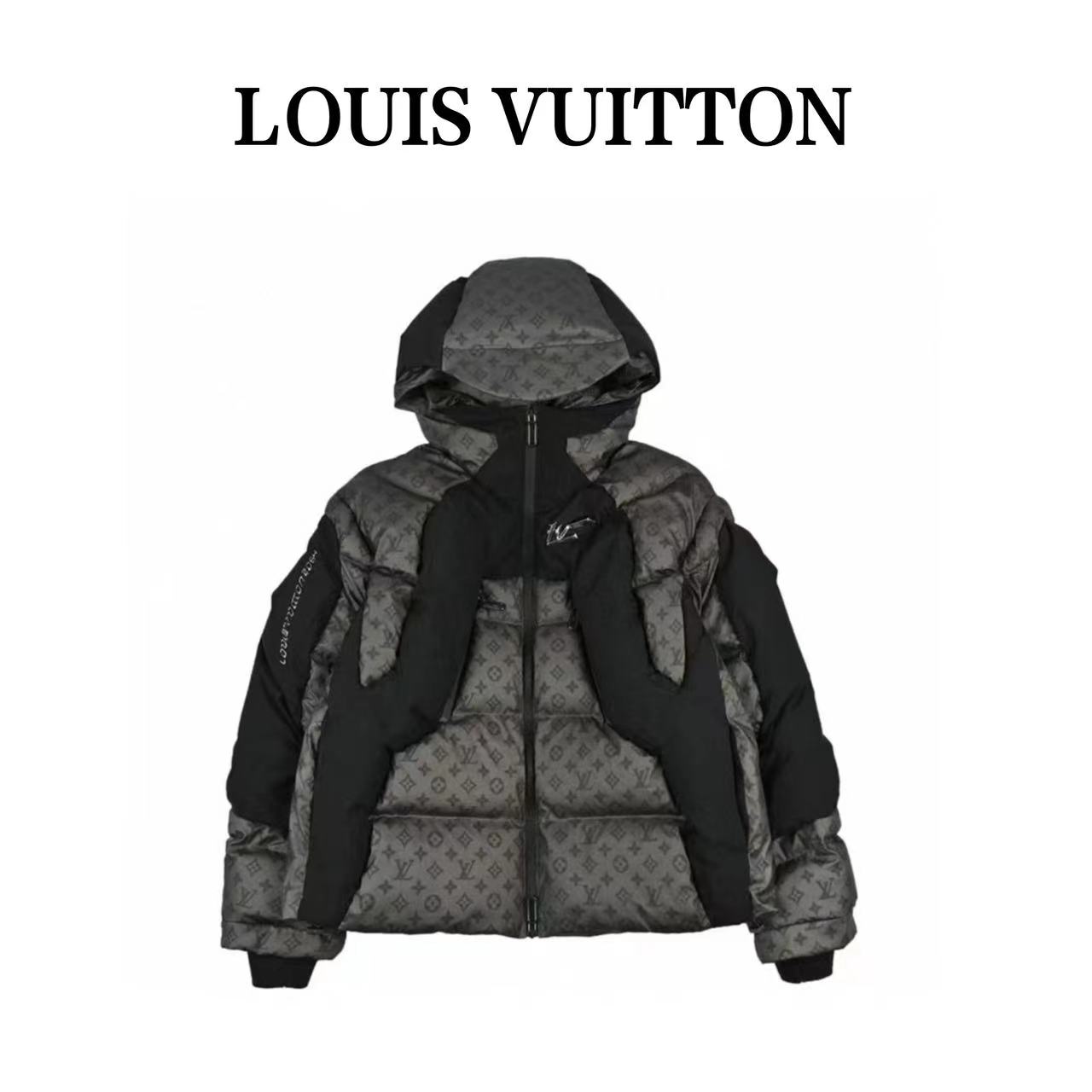 Louis Vuitton Presbyopia Warm Down Jacket
