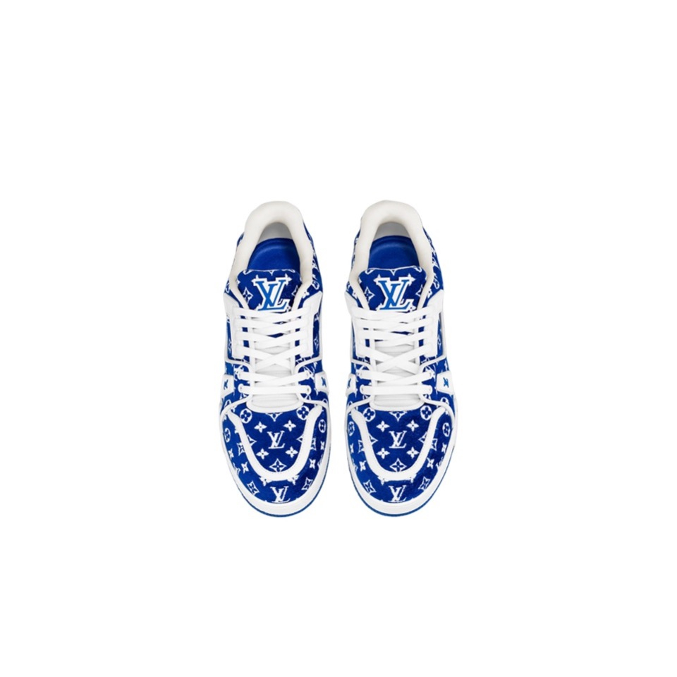 Louis Vuitton fashion shoes