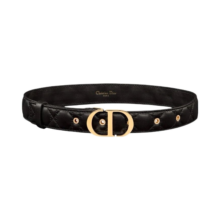 DIOR belt