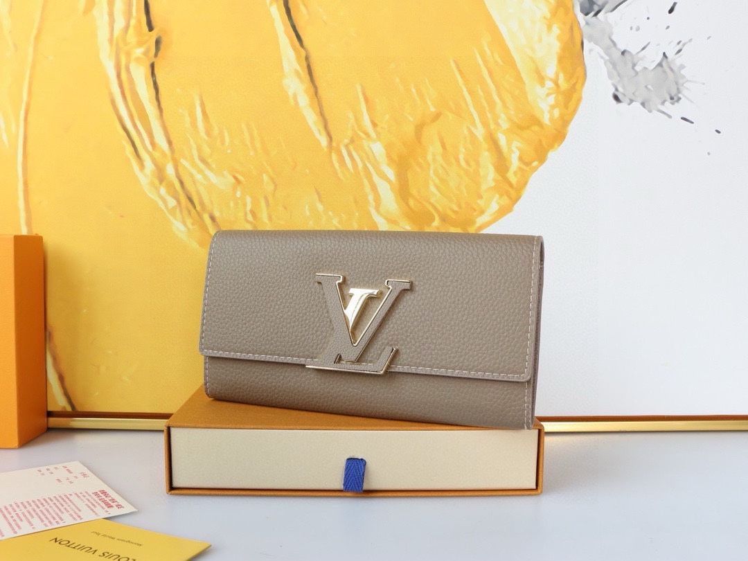 Louis Vuitton LV Bags