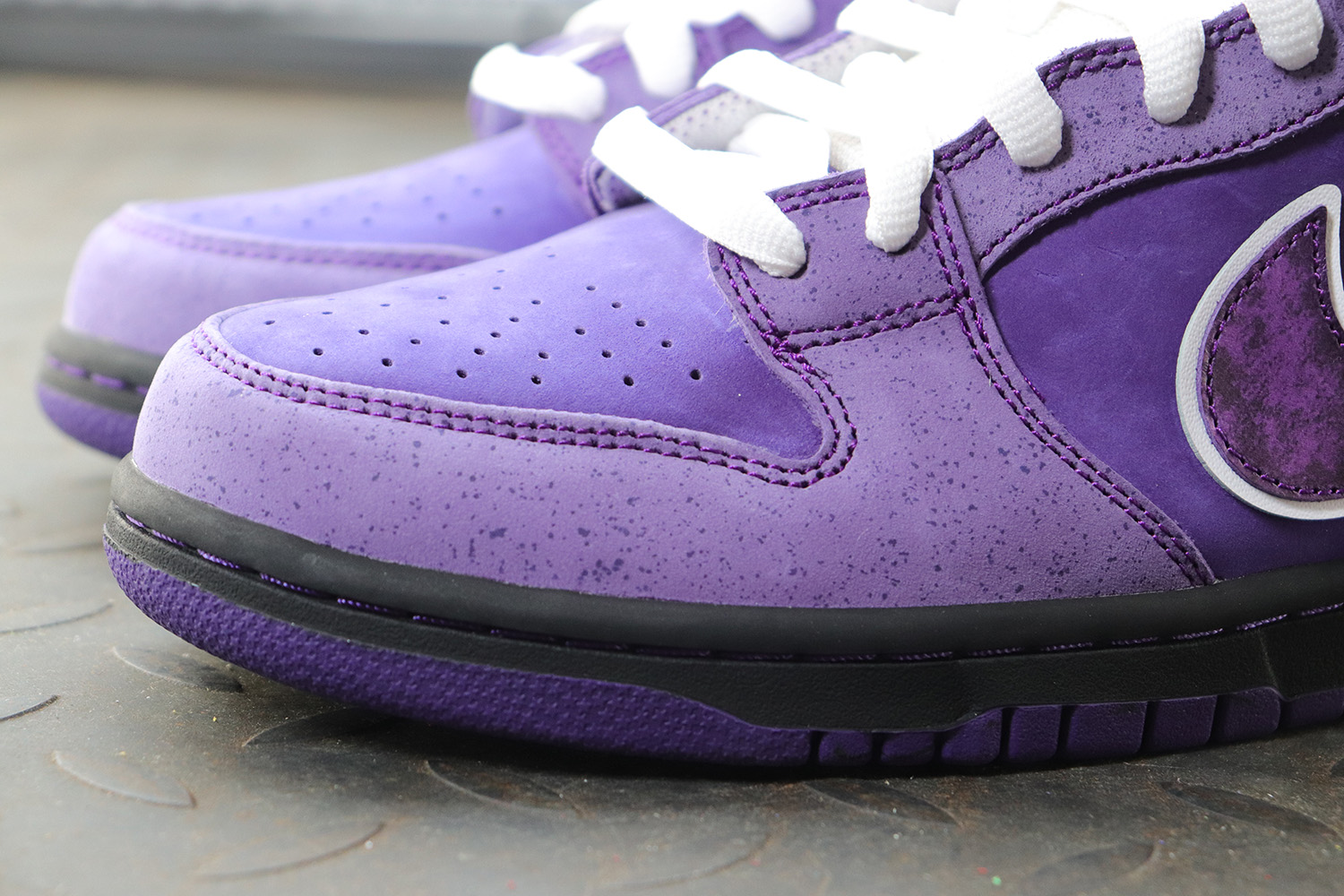nike sb dunk low purple lobster