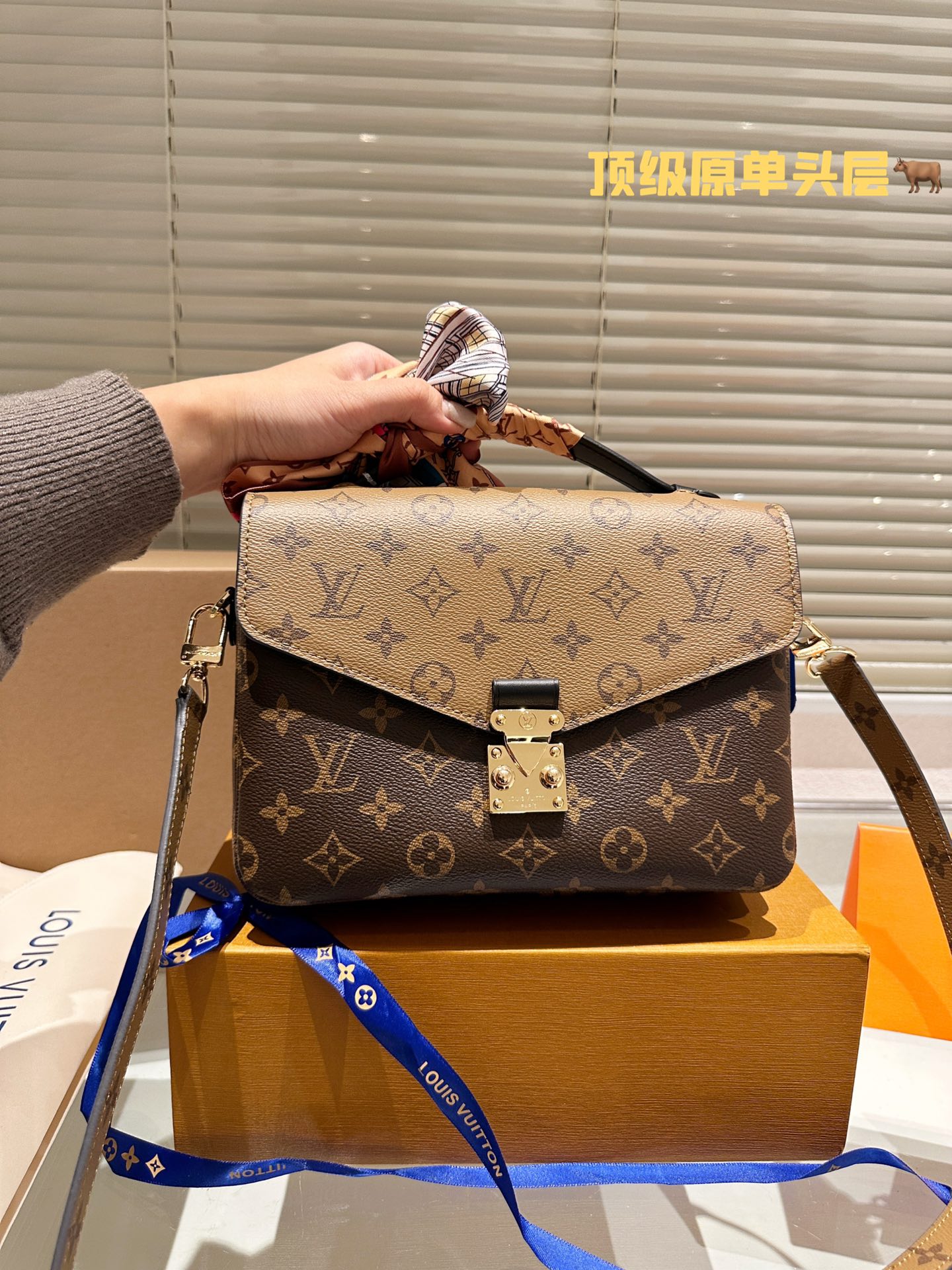 Louis Vuitton Monogram Canvas Pochette Metis M40780