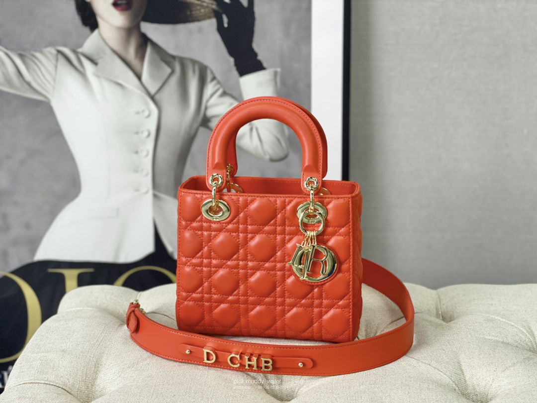 SMALL LADY DIOR BAG