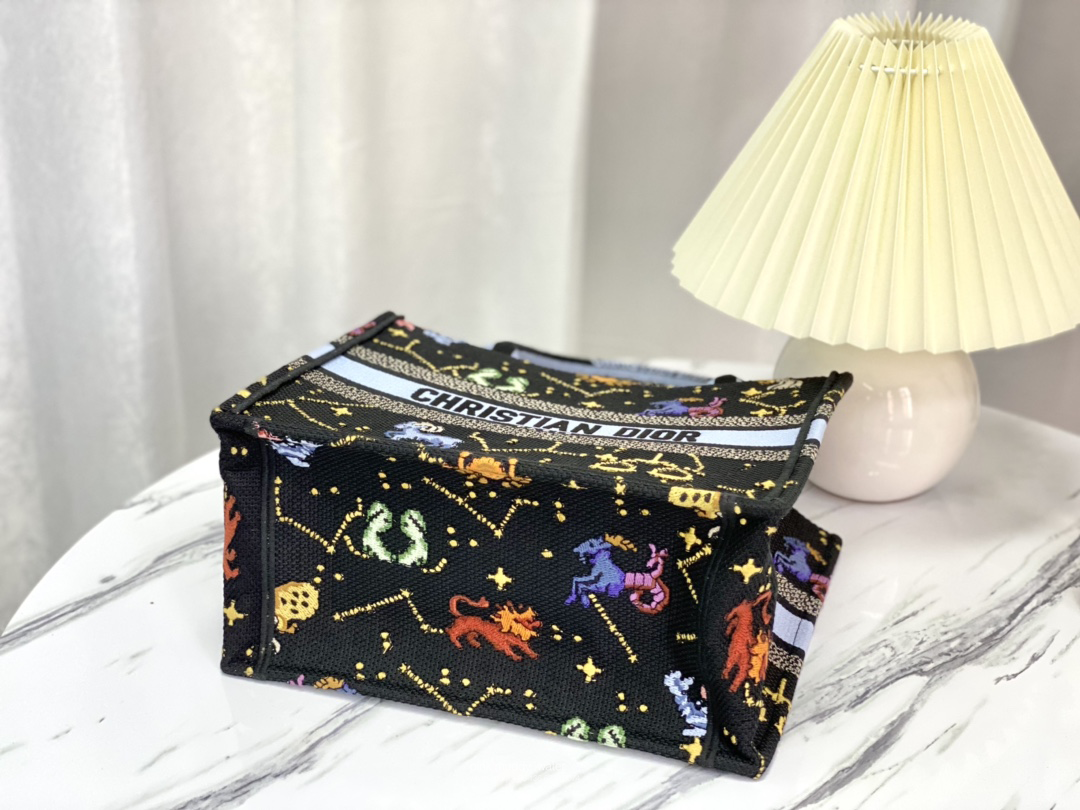 SMALL DIOR BOOK TOTE
