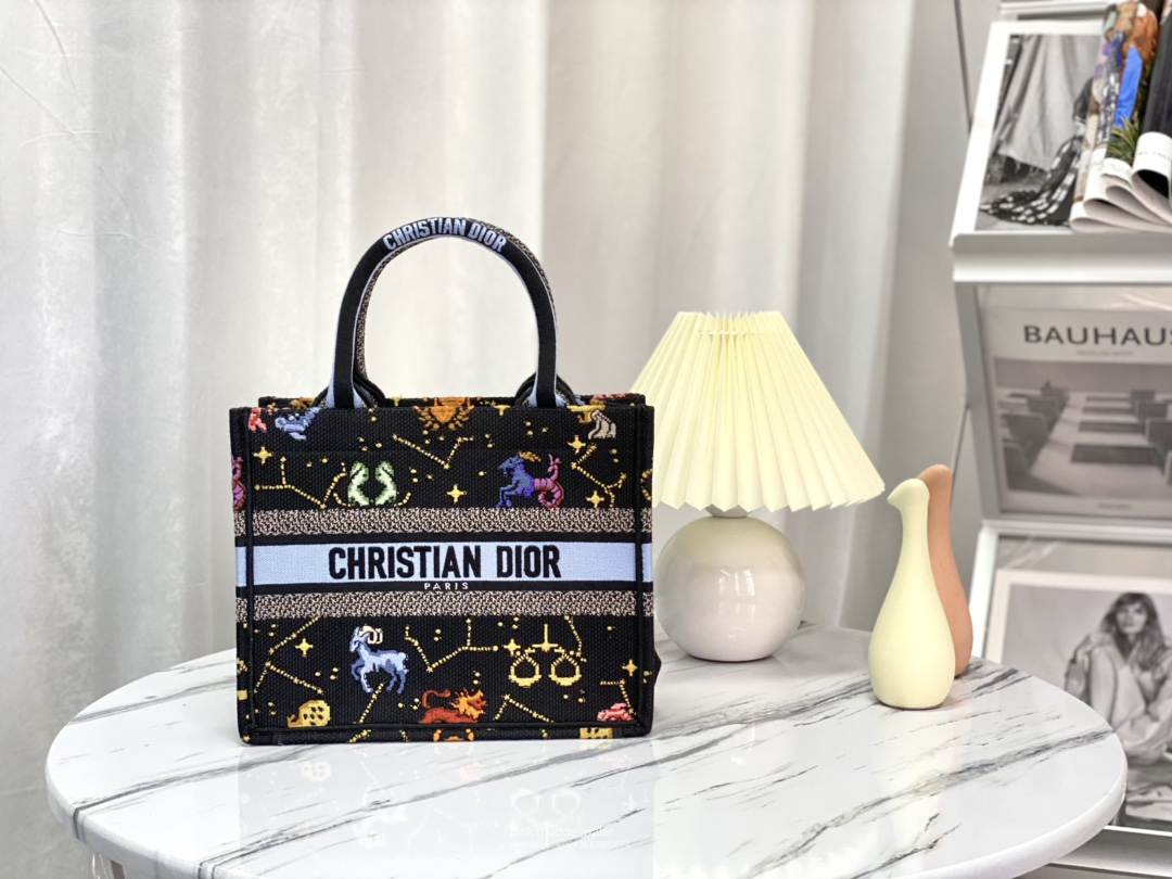 SMALL DIOR BOOK TOTE
