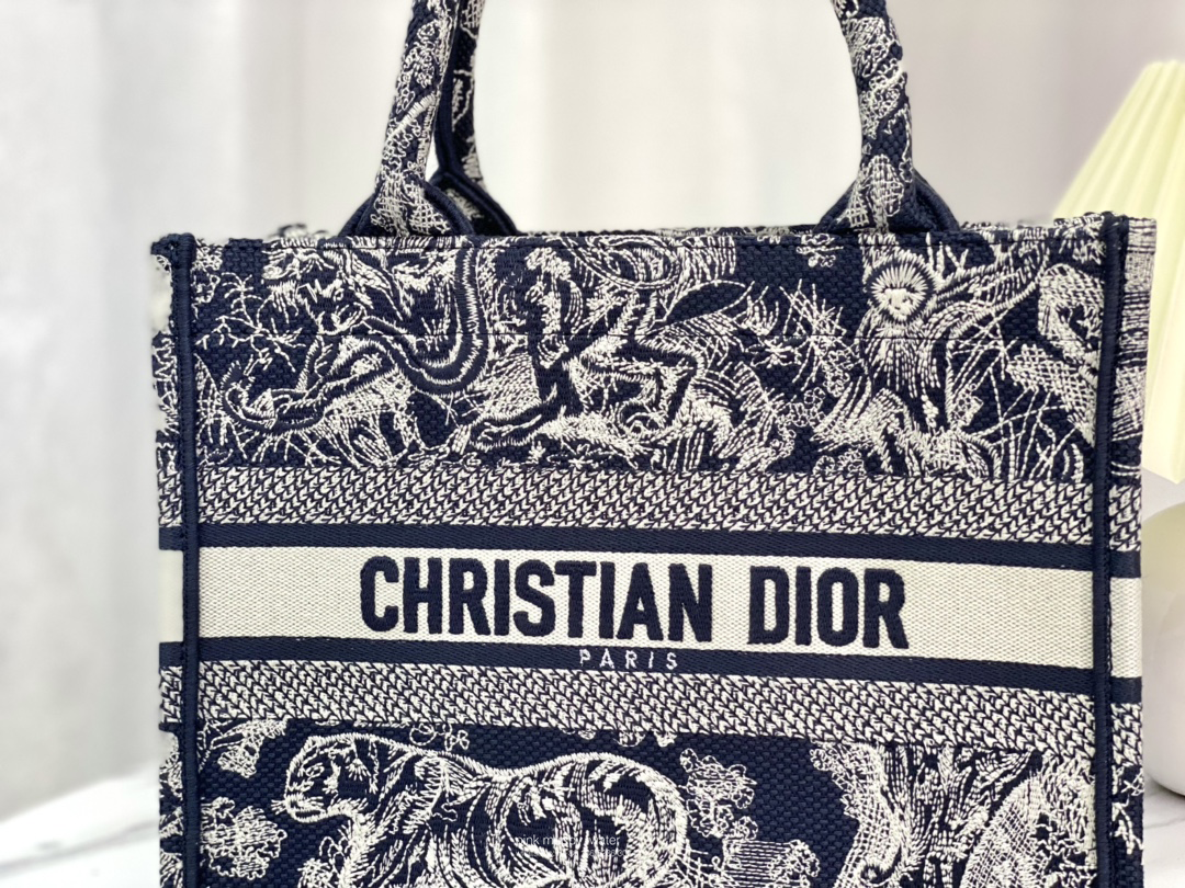 SMALL DIOR BOOK TOTE