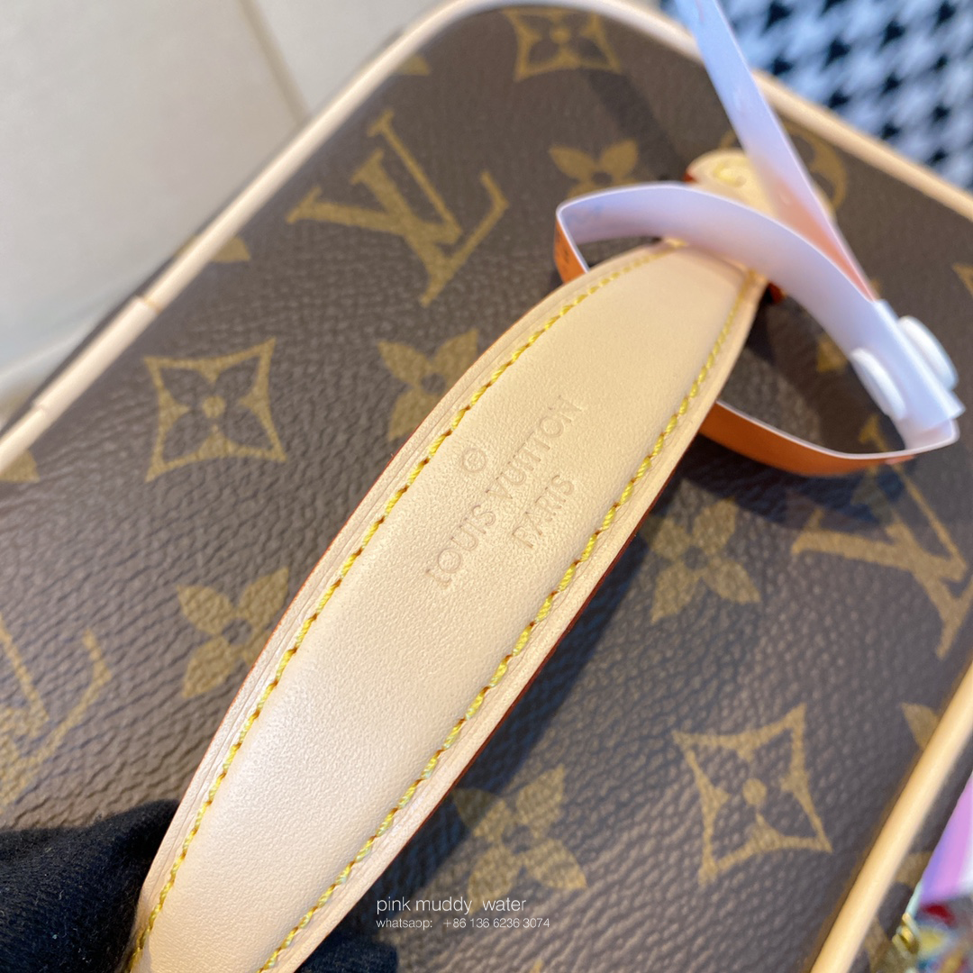 Louis Vuitton Bag