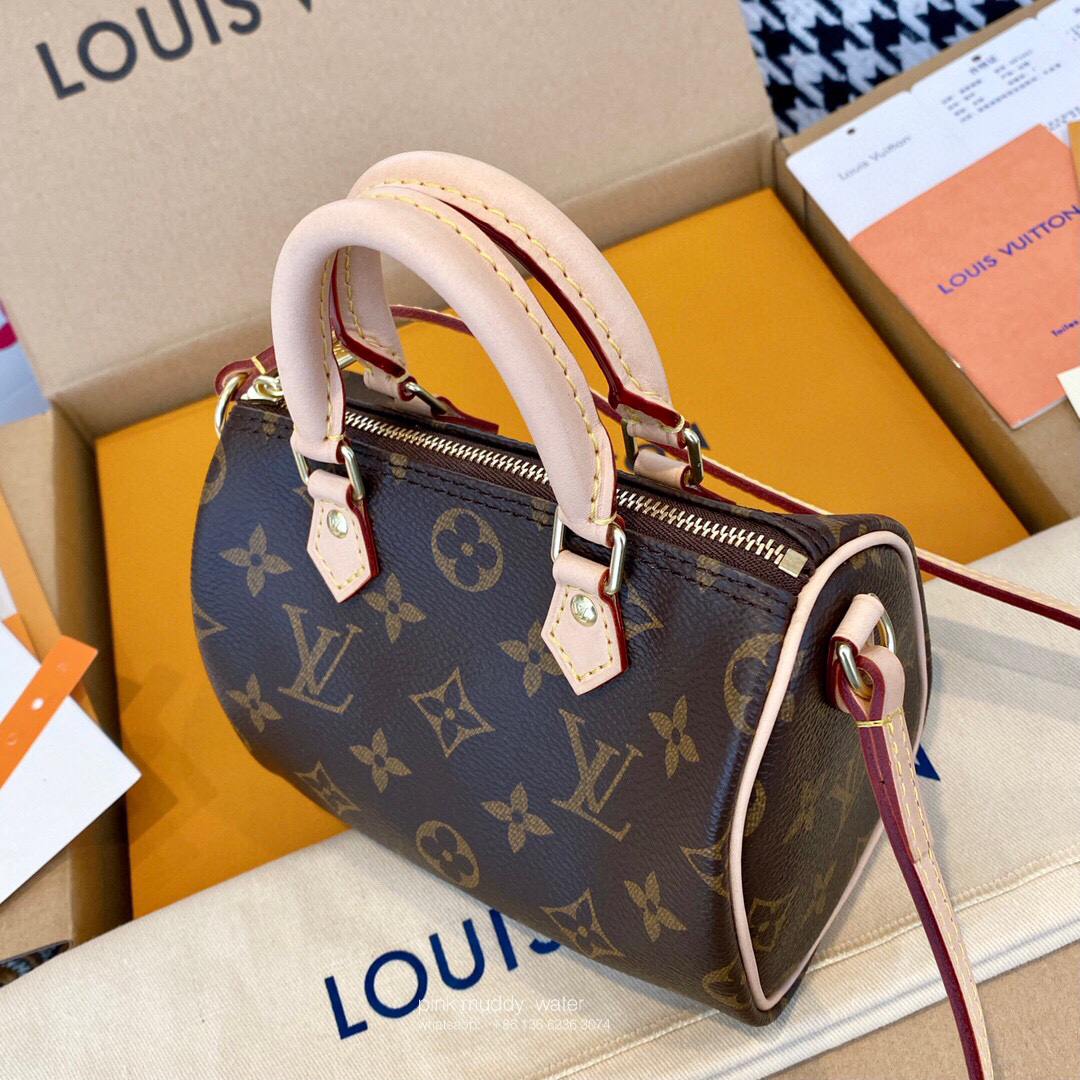 Louis Vuitton Bag