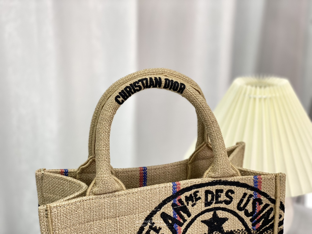 SMALL DIOR BOOK TOTE