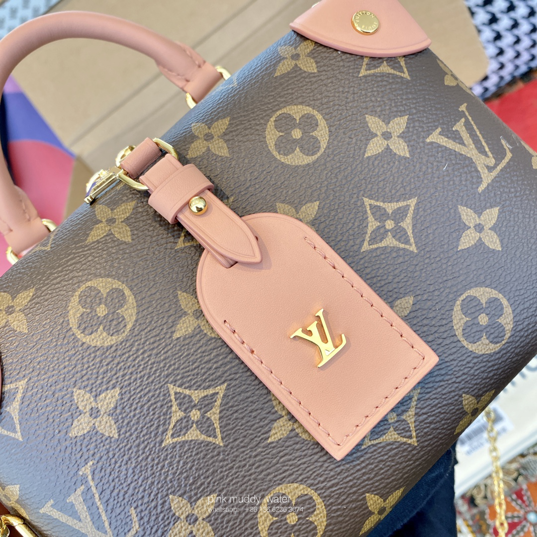 Louis Vuitton Bag