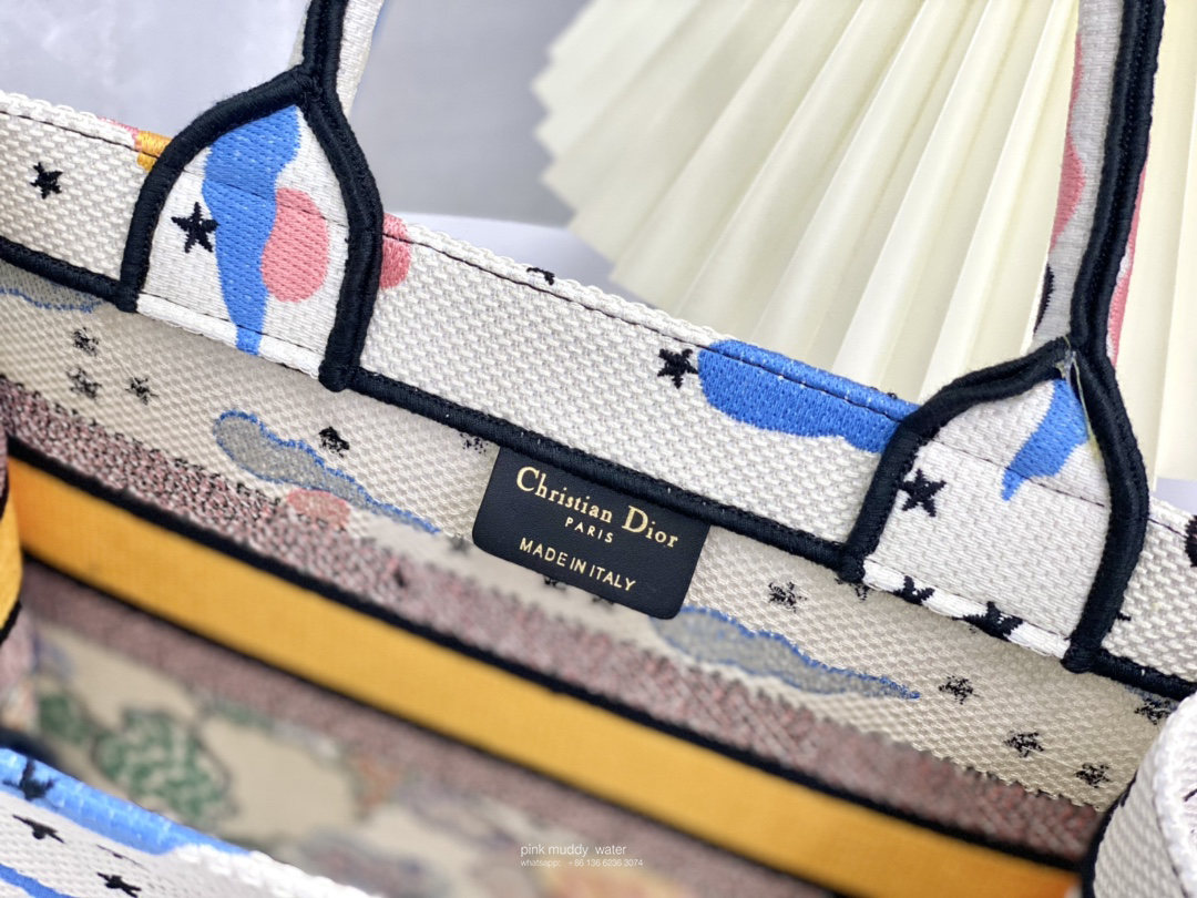 SMALL DIOR BOOK TOTE