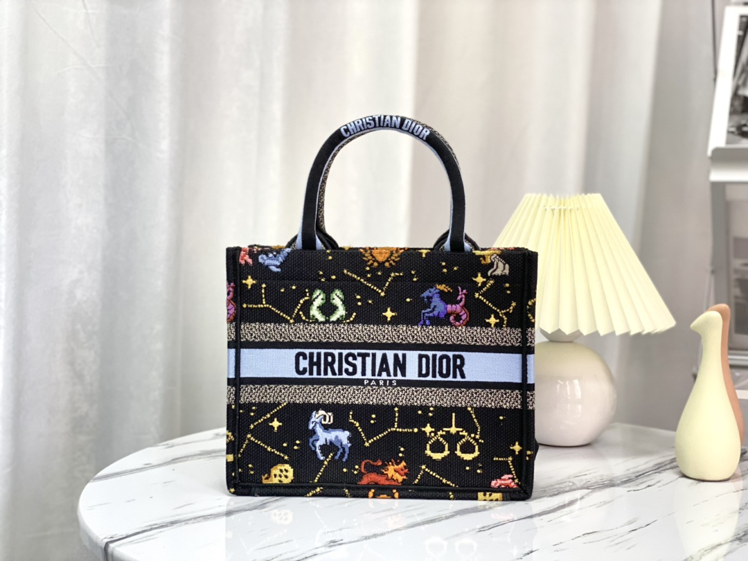 SMALL DIOR BOOK TOTE