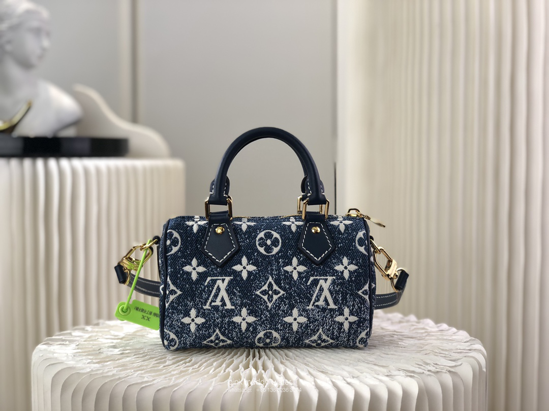 Louis Vuitton Bag