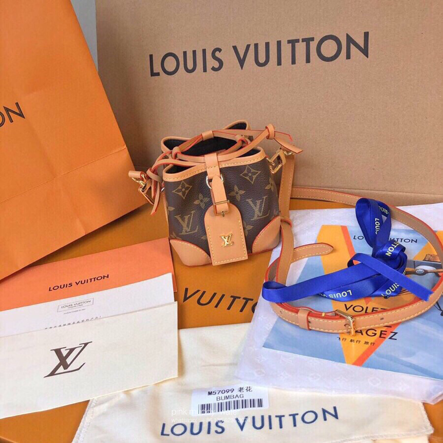 Louis Vuitton Bag