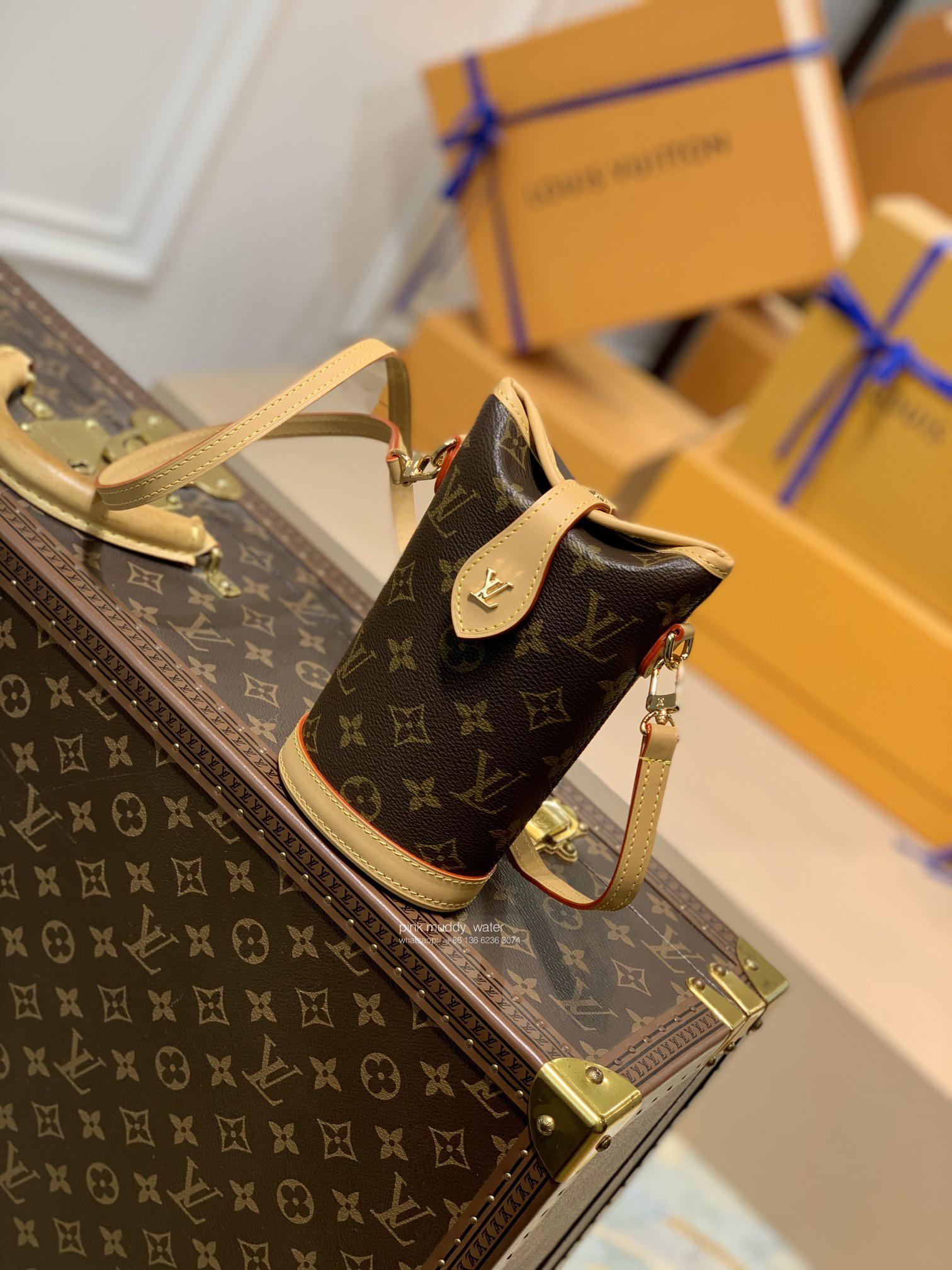Louis Vuitton Bag