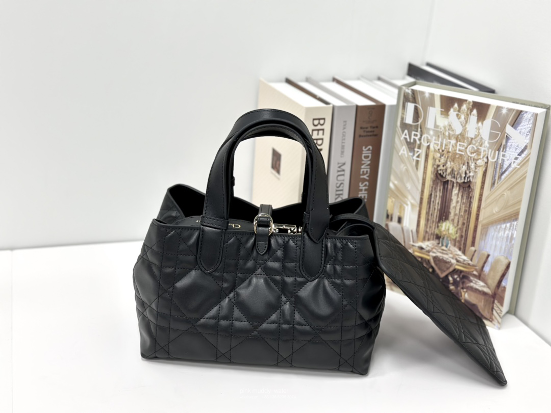 SMALL DIOR TOUJOURS BAG