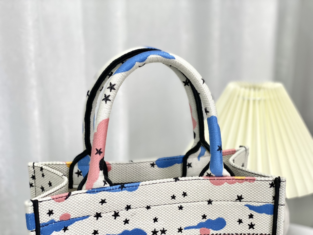 SMALL DIOR BOOK TOTE
