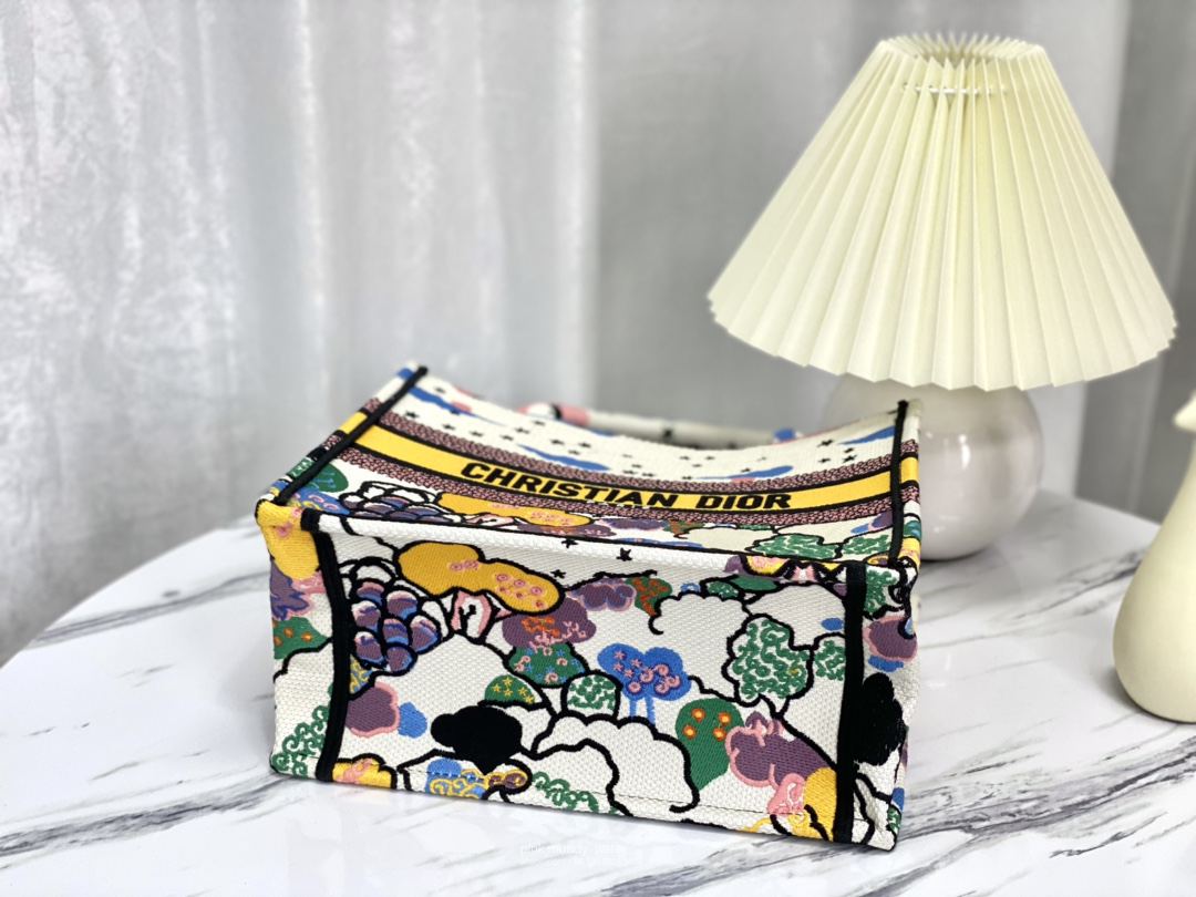 SMALL DIOR BOOK TOTE