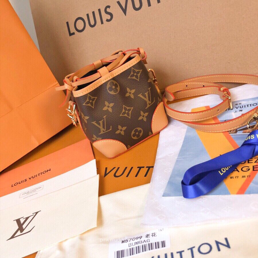 Louis Vuitton Bag