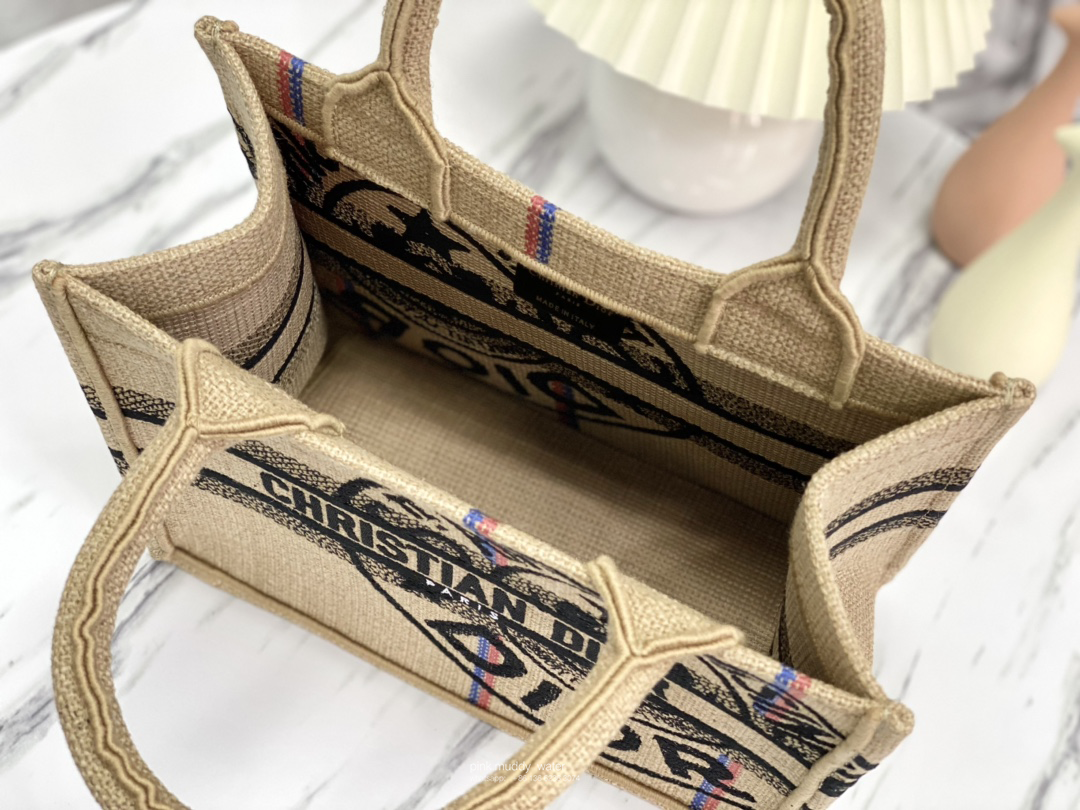 SMALL DIOR BOOK TOTE